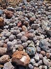 Thundereggs  Oregon  14 To 15 Pound Lot  As Found Uncut Rough  Agate