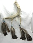 Native American Made Antler Dream Catcher  Turquoise  Coral   Coa   adc-1