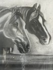 Beautiful Charcoal pencil Drawing Of Horses Drinking Water-in Antique Tiger Oak