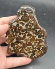 77g Sericho Pallasite Olive Meteorite Iron Slice- From Kenya Meteorite