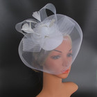 Women Flower Mesh Veil Fascinators Hat Clip Cocktail Tea Party Wedding Headpiece