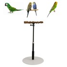 Bird Parrot Play Training Perch Stand Detachable Adjustable Tabletop Bird 