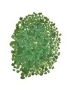 Genuine Green Sea Glass Lot Surf Tumbled Beach Glass  Craft Jewelry Bulk  12oz  