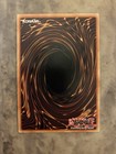 Yugioh  Tcg - Red Rose Dragon - Starlight Rare - 2025 Mega-pack - Mp25-en037