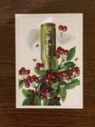 Postage Set Melitopol Is Ukraine 