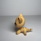 Authentic Littlest Pet Shop  886 Shorthair Cat   Original Hasbro Lps
