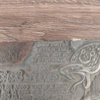 Vintage Letterpress Printing Block Cobra Snake Cave Of Snakes India Wood Metal