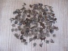150 Vintage Copper Roofing Rivets  Pins  Clips - For Old Style Shingles   Siding