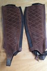 Ariat Half Chap Brown Leather - In Excellent Used Condition Size St  small Tall 