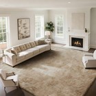 Fluffy Rug Shaggy Area Rug  Beige 8x10 Area Rugs For Living Room  Large Shag