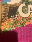 Vtg Carter Caves Souvenir Full-size Pennant Flag Olive Hill Kentucky - Ship Fast