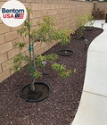 6 Pack 20  Tree   Shrub Watering Rings     Deep Root Irrigation Basin With Solid O