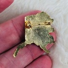 Vtg Alaska Moose Association Member Enamel Lapel Pin