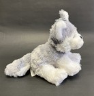 Ganz Webkinz Lil  Kinz Husky Plush Stuffed Animal     No Code