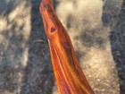 4  X  3 4    Manzanita Bird Perch - Natural Wood Parrot Cage Accessory Rustic