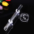 Suction Cup Feeding Dish Fish Feeder Shrimp Food Dish Shrimp Feeding