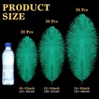 90 Pcs Large Natural Ostrich Feathers Bulk 14-16 Inch  35-40cm  12-14 Inch  3   