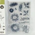 Stampin  Up   Painted Harvest   Clear Stamp Set - Thankful Foliage - 144783