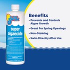 In The Swim Super Algaecide For Above Ground Or Inground Swimming Pools