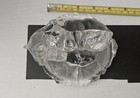Royal Crystal Rock Polar Bear And Cub On Iceberg Decor Piece  From Italy
