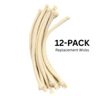 Buffalo Dental Alcohol Torch Needle Point Flame With 12-pack Replacement Wicks