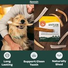Elk Deer Antler Dog Chews 1 Lb Mixed Whole Split Natural Usa Mountain Valley Pet