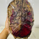 Dried Indian Almond Large Leaves Terminalia Catappa Ketapang For Shrimp Aquarium