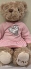 Fao Schwarz 14  Teddy Bear Stuffed Plush    toys R Us    Silver Heart Pink Dress
