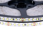 33ft Super Bright Double Density Flexible Led Strip Light 24v 10 Meters