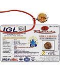 1 Mukhi Round Rudraksha From Nepal 17mm-19mm Underdeveloped Igl Lab Certified