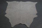100  New Cowhide Rugs Area Cow Skin Leather  51  X 59   Cow Hide Sa-5514