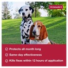 K9 Advantix Ii Flea And Tick Extra Large Dogs-55 Lbs  6 Pack  -new Free Shipping