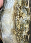 1lb Washington Jasper agate With Quarts   Calcite Mix Lapidary Rough