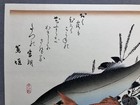 Hiroshige Ukiyoe Woodblock Print    grand Series Of Fishes japanese Seaperch   