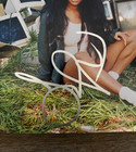 Sza Signed Autographed  ctrl  Album Vinyl Lp Record W  Coa Psa dna Ao20940