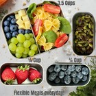 Leak Proof Stainless Steel Lunch Box Containers  Stainless Steel Bento Box  M   