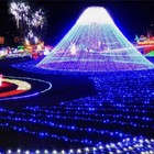 100-300 Twinkle Christmas Lights Led Fairy String Lamp Indoor Outdoor Home Decor