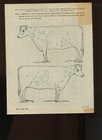 Holstein Friesian Assoc  Certificates Of Registry   Transfer 1913   1914  854a 
