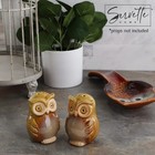 Ceramic Owl Salt And Pepper Shaker Collectors Kitchen D  cor - Green Owl Gre