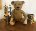 Rare  1914 Early American Teddy Bear Fully Jointed Gold Mohair 23  Charming 