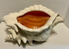 Large Vtg Ceramic Conch Shell Planter W Drain Holes 6 75x12 5x8 5    Atlantic Mold