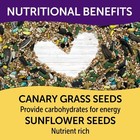  Premium Cockatiel Mix Bird Food Seeds  With Probiotics  9 Lb  Bag
