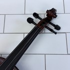 Cecilio Solidwood Violin With Accessories In Case  Cvn-eas   Read