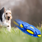 Pet Flying Saucer Disc Ball For Fun Outdoor Play With Kids And Dogs