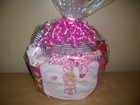 Baby Girl   Lil Lady Bug  15 Piece Baby Shower Gift Basket Or Centerpiece