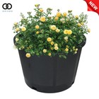 Heavy Duty 5 Gallon Planters Plastic Nursery Pots Flower Plant Pots 10 Pack