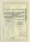 Detroit   Canada Tunnel Company Stock Certificate 1931 Uncancelled Graphic Crisp