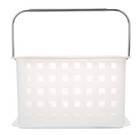 Interdesign 46200 Small Frosted Basket