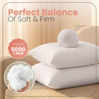 Utopia Bedding 18x18 Pillow Inserts  White Throw Pillows For Couch  2 Pack   100