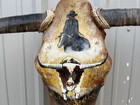 Steer Skull Painted 20 Inch Wide Bull Horn Mounted Cow Head Cowboy And Longhorn